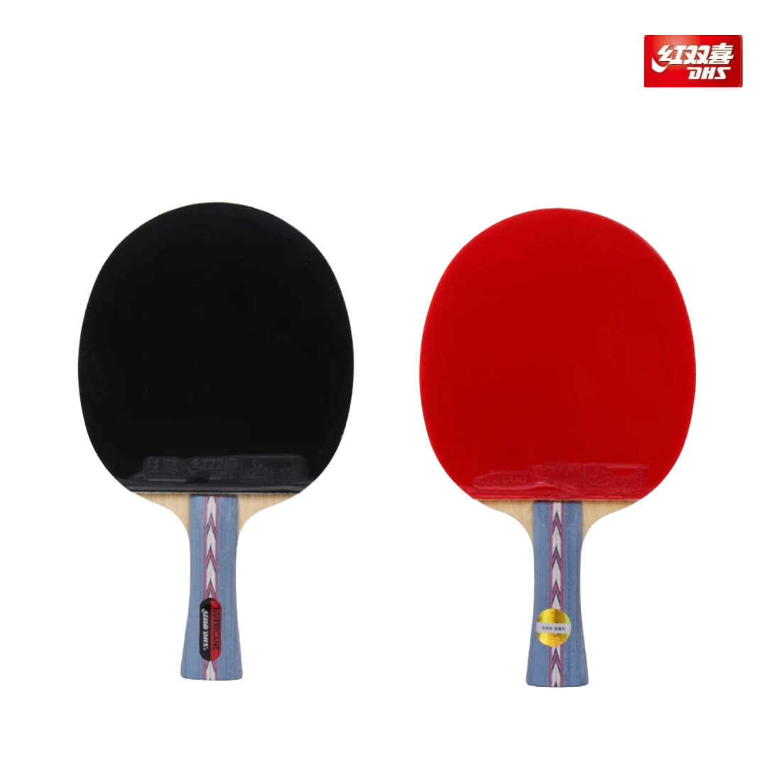 DHS Hurricane狂飚 No.2 Shakehand (FL) Racket Set