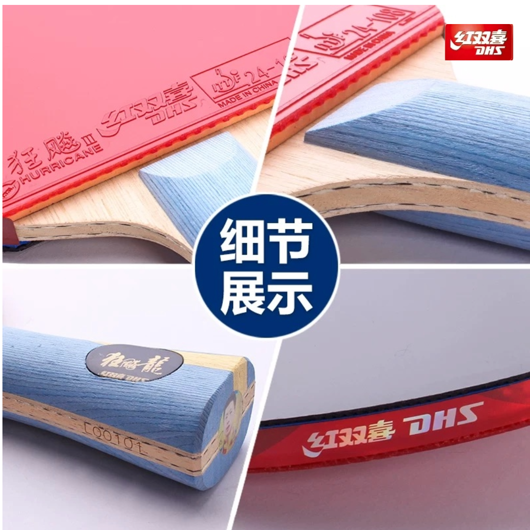 DHS Ma Long GOLD SLAM 金滿貫 Table Tennis (FL) Racket Set